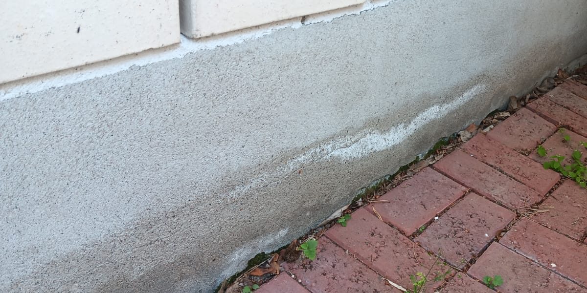 0258b584-8c8b-48ec-8022-0f225b9b06ba