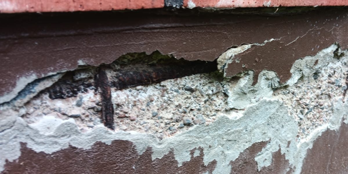 932716f4-686f-4d4d-b937-ba6e2aea6995